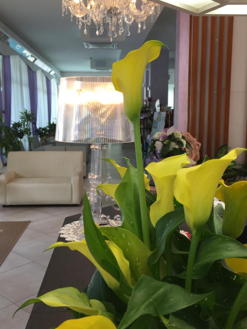 Hotel Sahara ميلانو ماريتيما المظهر الخارجي الصورة